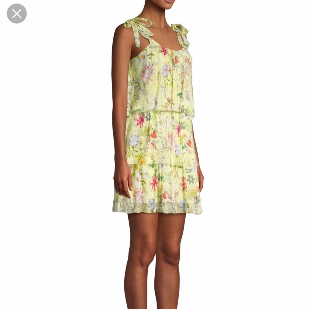 Parker Vicky dress in the stunning‎ Spring Sangria floral print NWT small